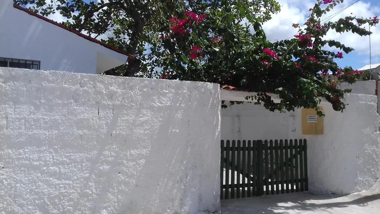 Casa da Árvore Pôrto das Galinhas Brasil